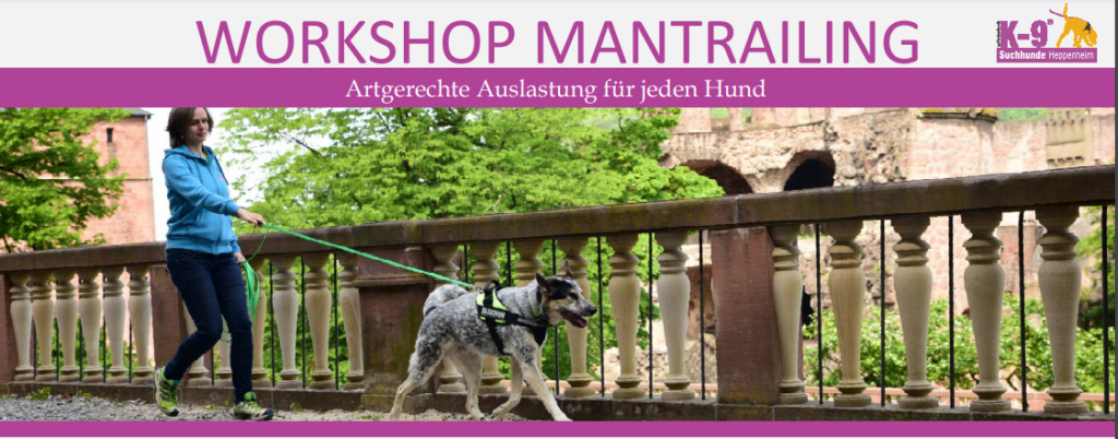 Workshop Mantrailing - Teamwerkstatt-Mensch-Hund